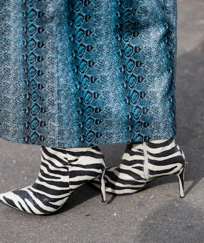 zebra prints trend 2025